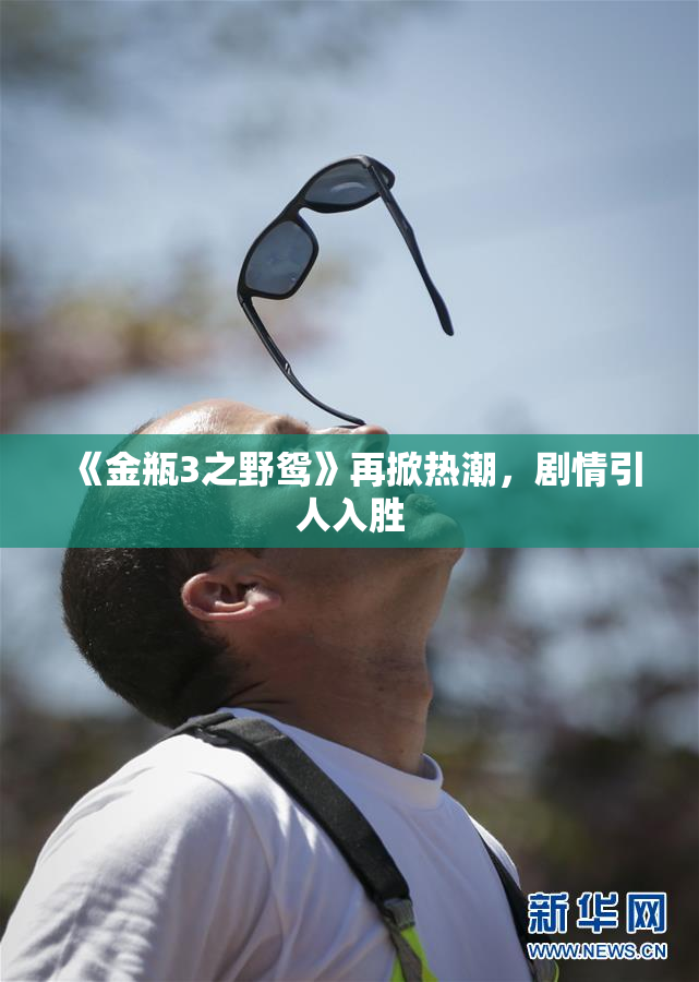 《金瓶3之野鸳》再掀热潮，剧情引人入胜