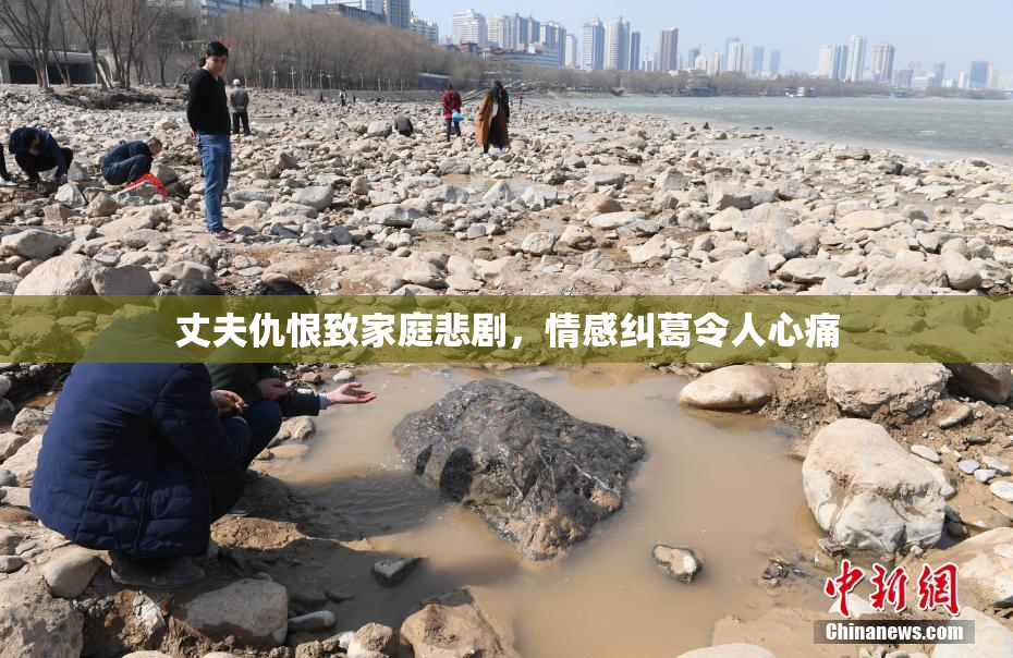 丈夫仇恨致家庭悲剧，情感纠葛令人心痛
