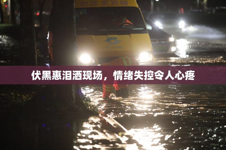 伏黑惠泪洒现场，情绪失控令人心疼