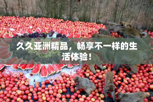 久久亚洲精品，畅享不一样的生活体验！