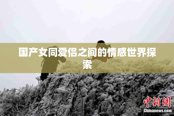 国产女同爱侣之间的情感世界探索