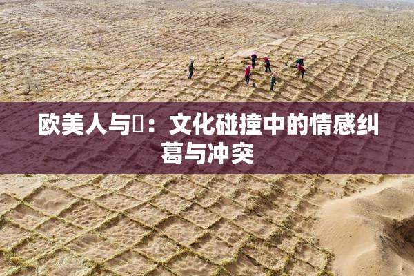 欧美人与嘼：文化碰撞中的情感纠葛与冲突
