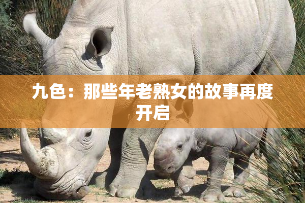九色：那些年老熟女的故事再度开启