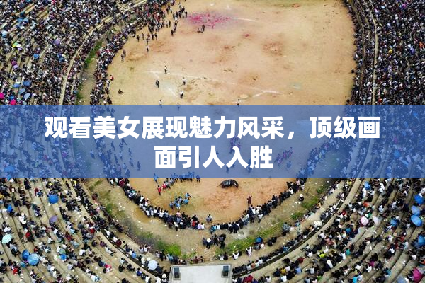 观看美女展现魅力风采，顶级画面引人入胜