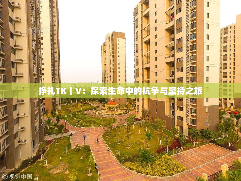挣扎TK丨V：探索生命中的抗争与坚持之旅