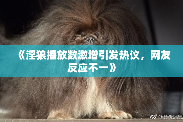 《淫狼播放数激增引发热议，网友反应不一》