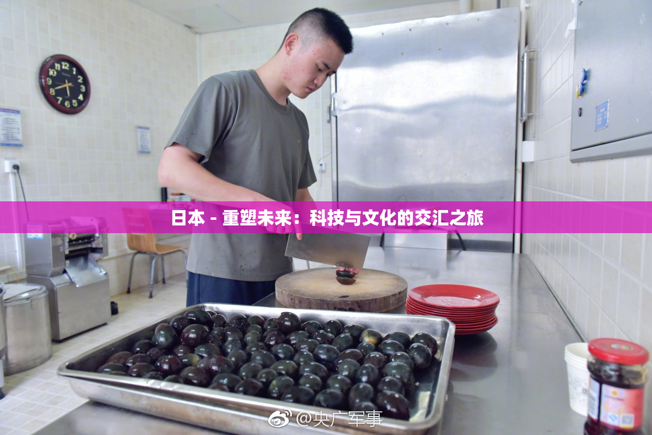 日本 - 重塑未来：科技与文化的交汇之旅