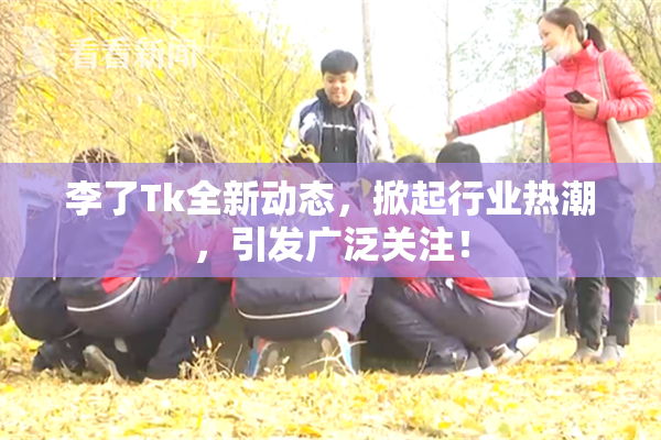 李了Tk全新动态，掀起行业热潮，引发广泛关注！
