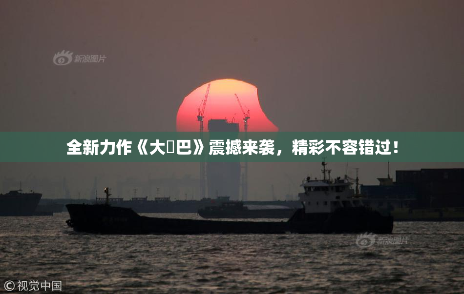 全新力作《大鳮巴》震撼来袭，精彩不容错过！