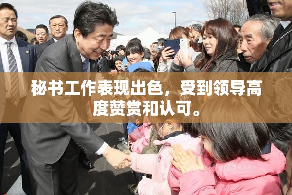 秘书工作表现出色，受到领导高度赞赏和认可。