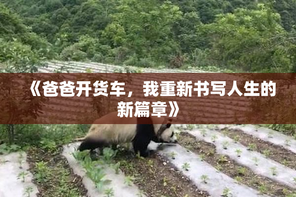 《爸爸开货车，我重新书写人生的新篇章》