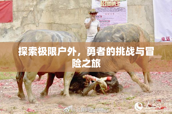 探索极限户外，勇者的挑战与冒险之旅