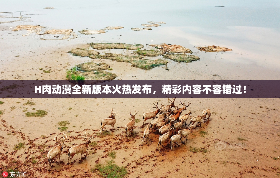 H肉动漫全新版本火热发布，精彩内容不容错过！