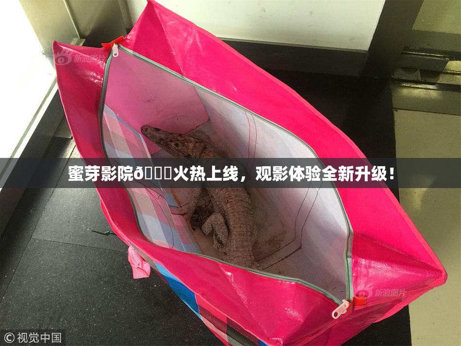 蜜芽影院🔞火热上线，观影体验全新升级！