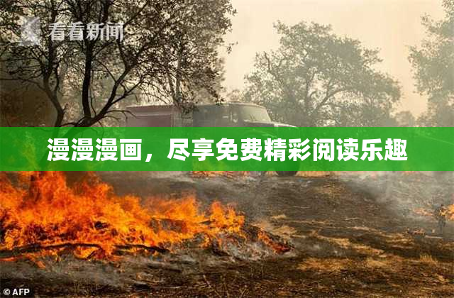 漫漫漫画，尽享免费精彩阅读乐趣