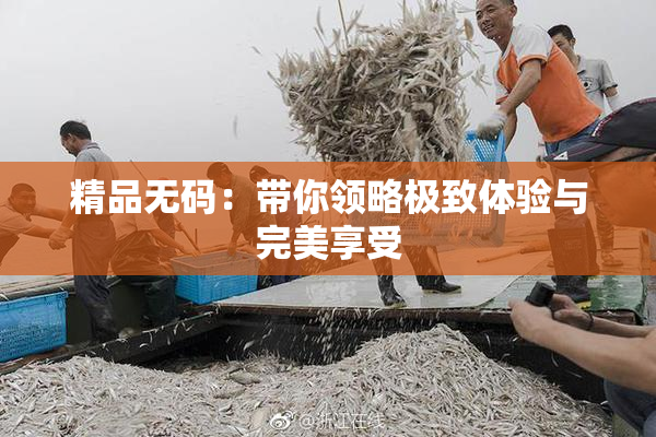 精品无码：带你领略极致体验与完美享受
