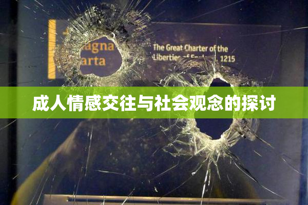 成人情感交往与社会观念的探讨