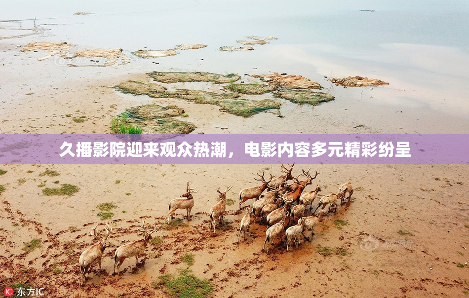 久播影院迎来观众热潮，电影内容多元精彩纷呈