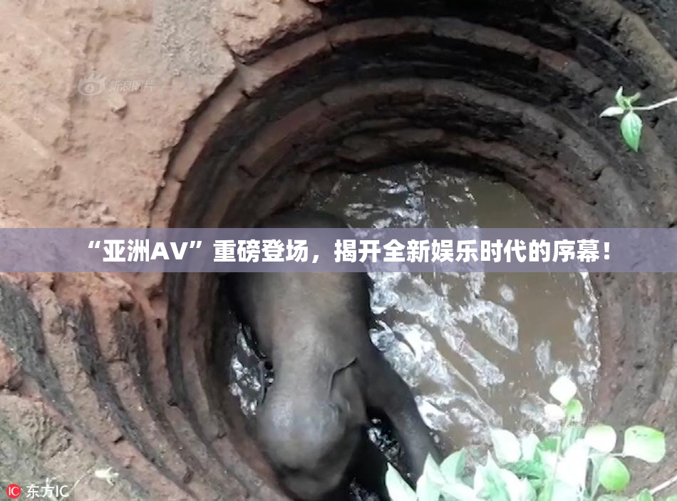 “亚洲AV”重磅登场，揭开全新娱乐时代的序幕！