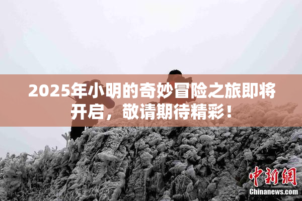 2025年小明的奇妙冒险之旅即将开启，敬请期待精彩！