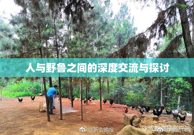 人与野鲁之间的深度交流与探讨