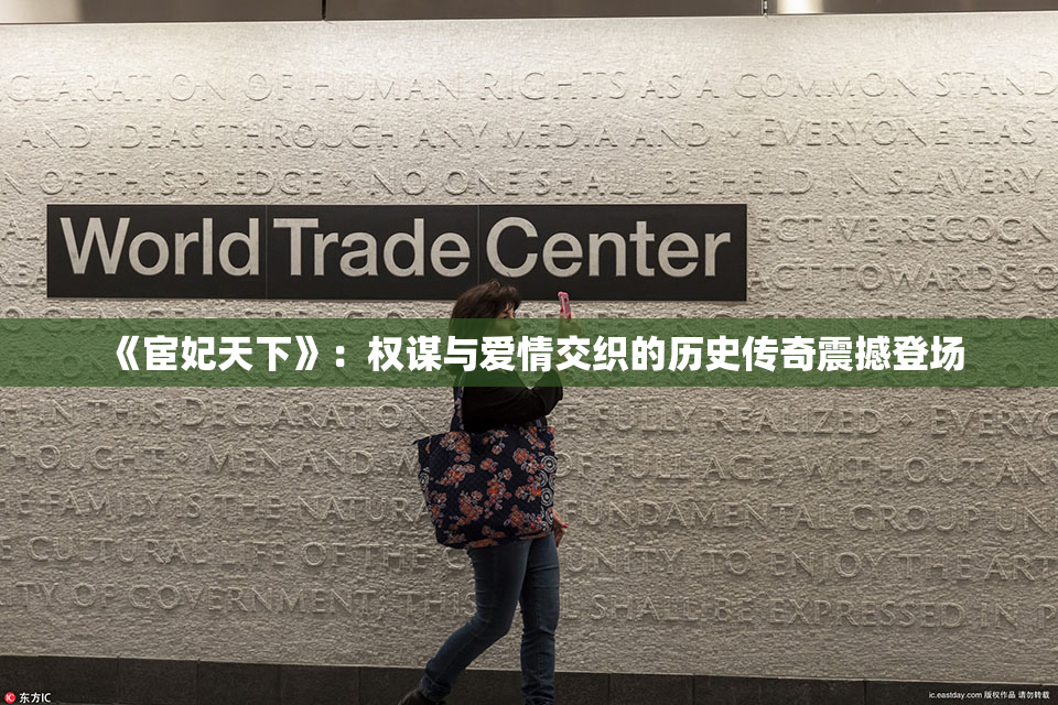 《宦妃天下》：权谋与爱情交织的历史传奇震撼登场