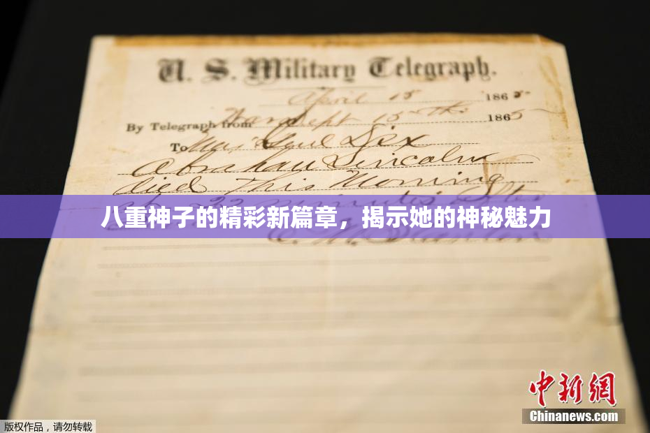 八重神子的精彩新篇章，揭示她的神秘魅力