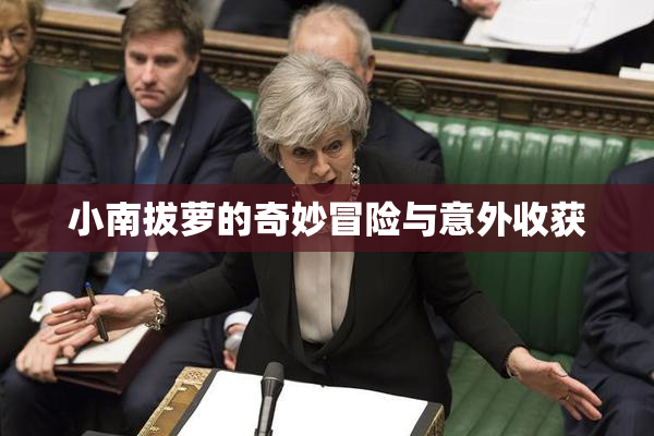 小南拔萝的奇妙冒险与意外收获