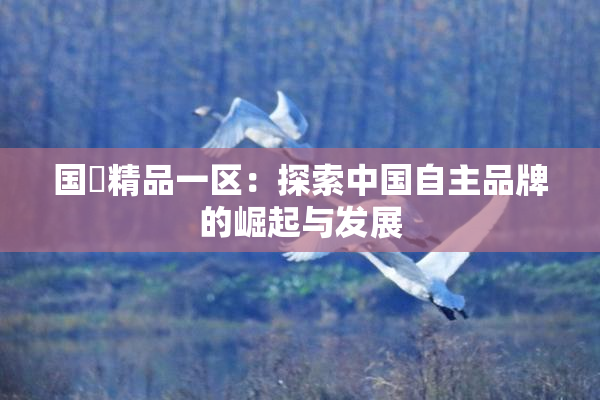 国產精品一区：探索中国自主品牌的崛起与发展