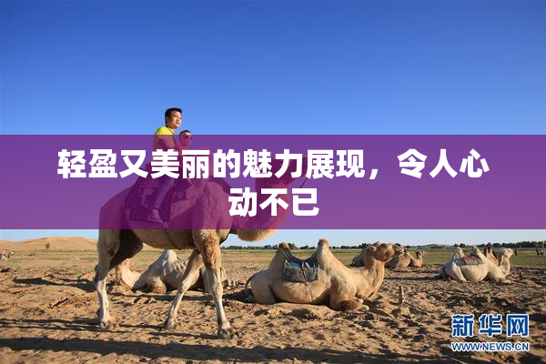 轻盈又美丽的魅力展现，令人心动不已