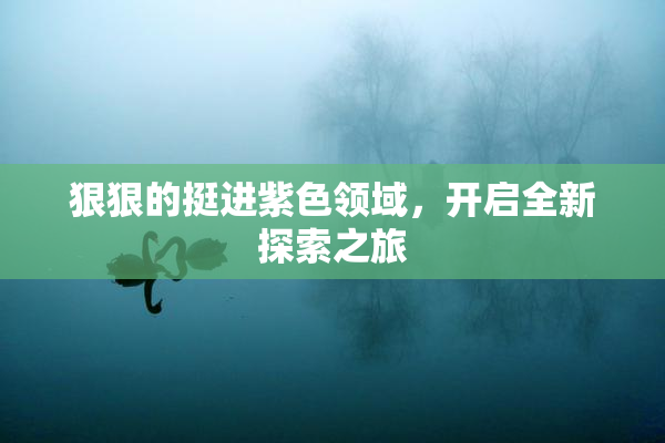 狠狠的挺进紫色领域，开启全新探索之旅