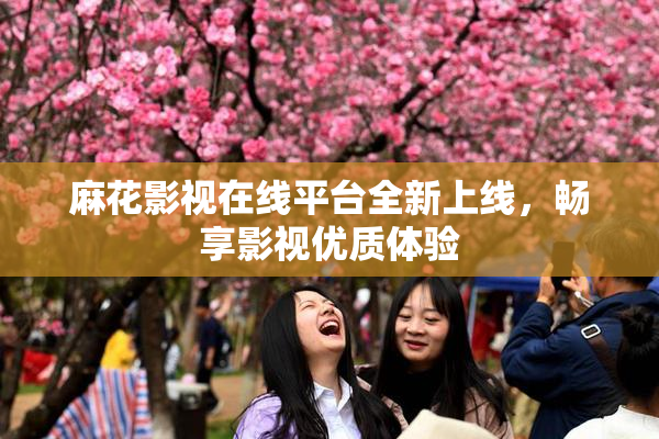 麻花影视在线平台全新上线，畅享影视优质体验