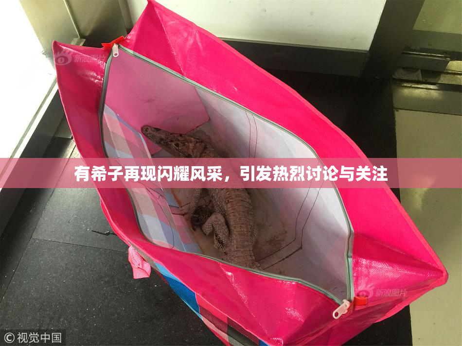 有希子再现闪耀风采，引发热烈讨论与关注