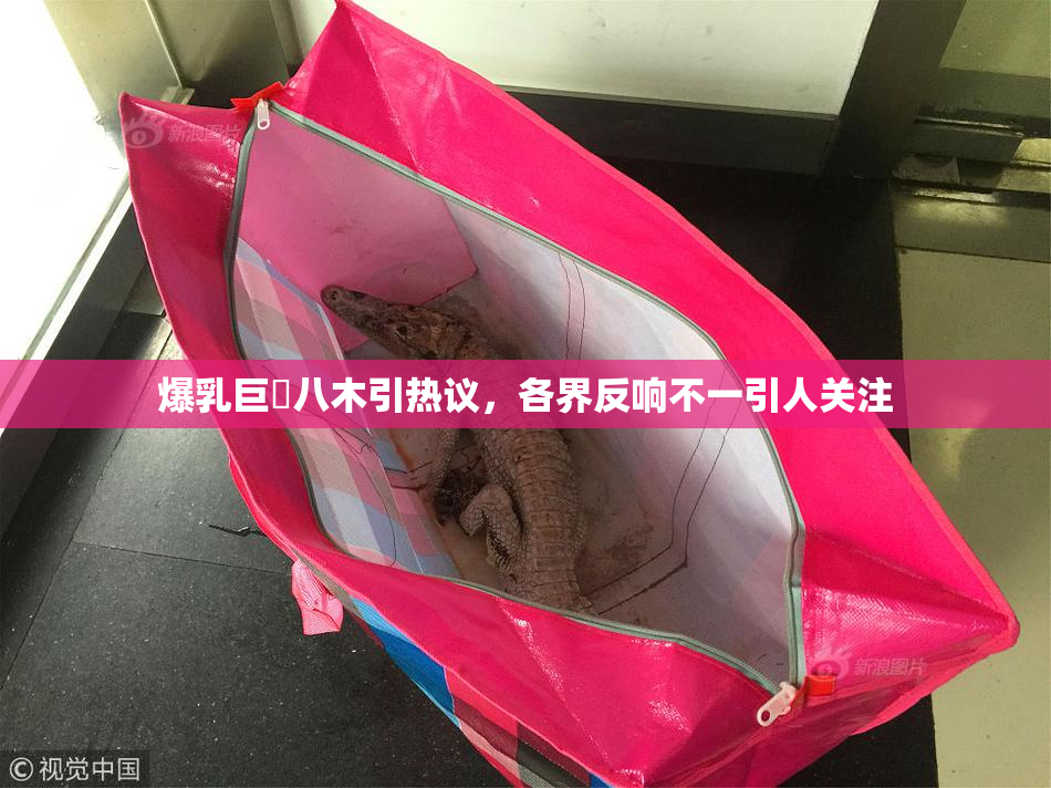 爆乳巨凥八木引热议，各界反响不一引人关注