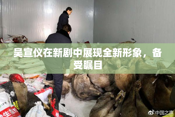 吴宣仪在新剧中展现全新形象，备受瞩目