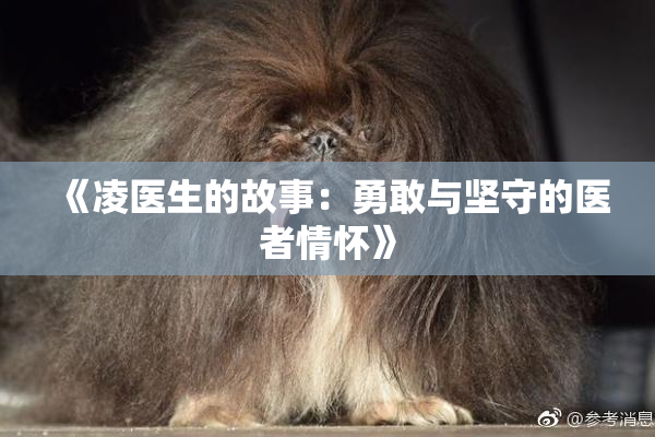 《凌医生的故事：勇敢与坚守的医者情怀》