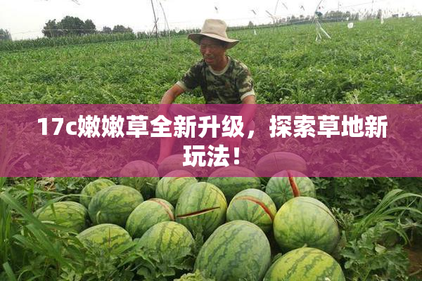 17c嫩嫩草全新升级，探索草地新玩法！