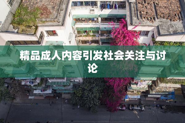 精品成人内容引发社会关注与讨论