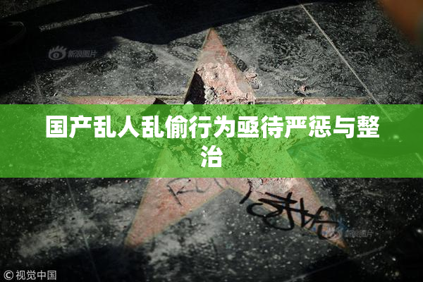 国产乱人乱偷行为亟待严惩与整治