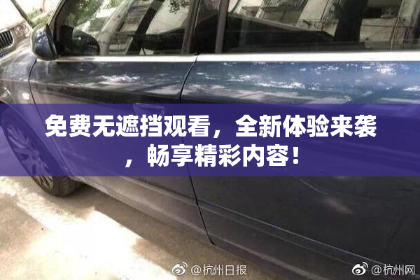免费无遮挡观看，全新体验来袭，畅享精彩内容！