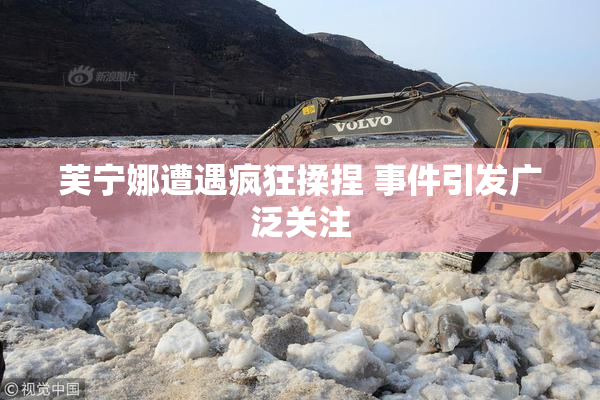 芙宁娜遭遇疯狂揉捏 事件引发广泛关注