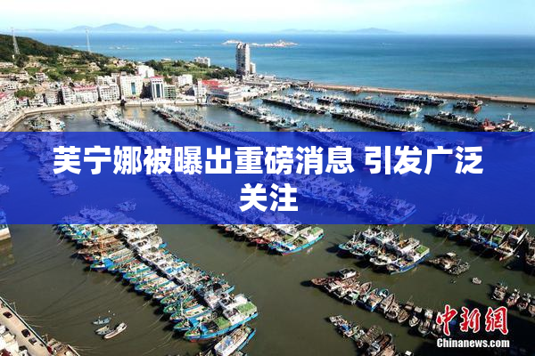芙宁娜被曝出重磅消息 引发广泛关注