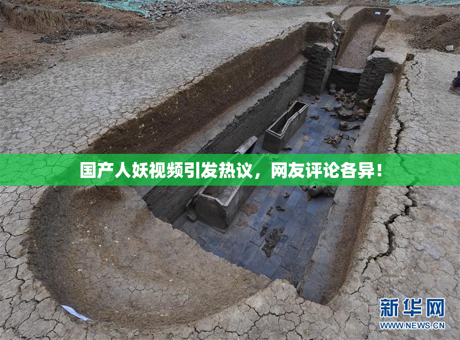 国产人妖视频引发热议，网友评论各异！