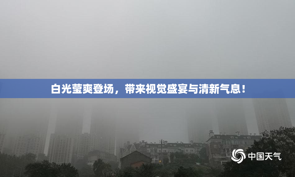 白光莹爽登场，带来视觉盛宴与清新气息！