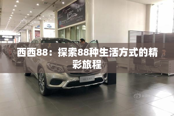 西西88：探索88种生活方式的精彩旅程