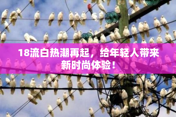 18流白热潮再起，给年轻人带来新时尚体验！
