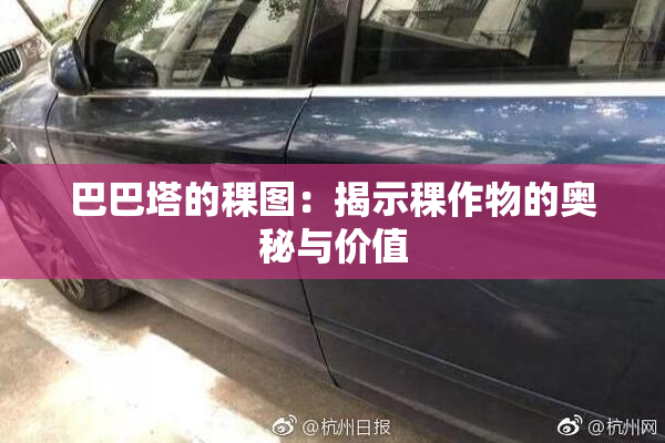 巴巴塔的稞图：揭示稞作物的奥秘与价值