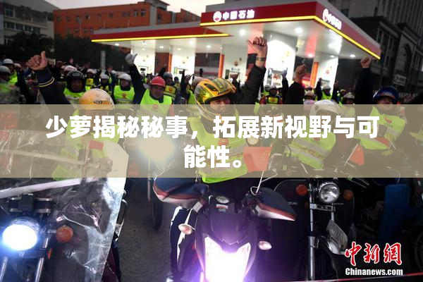 少萝揭秘秘事，拓展新视野与可能性。