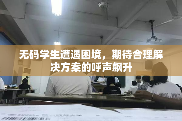 无码学生遭遇困境，期待合理解决方案的呼声飙升