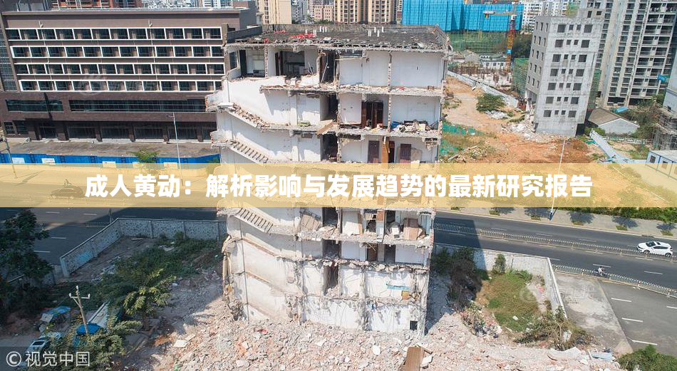 成人黄动：解析影响与发展趋势的最新研究报告